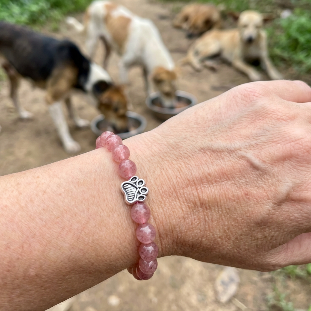 Rose Emerald Adjustable Charity Bracelet for Animal Rescue