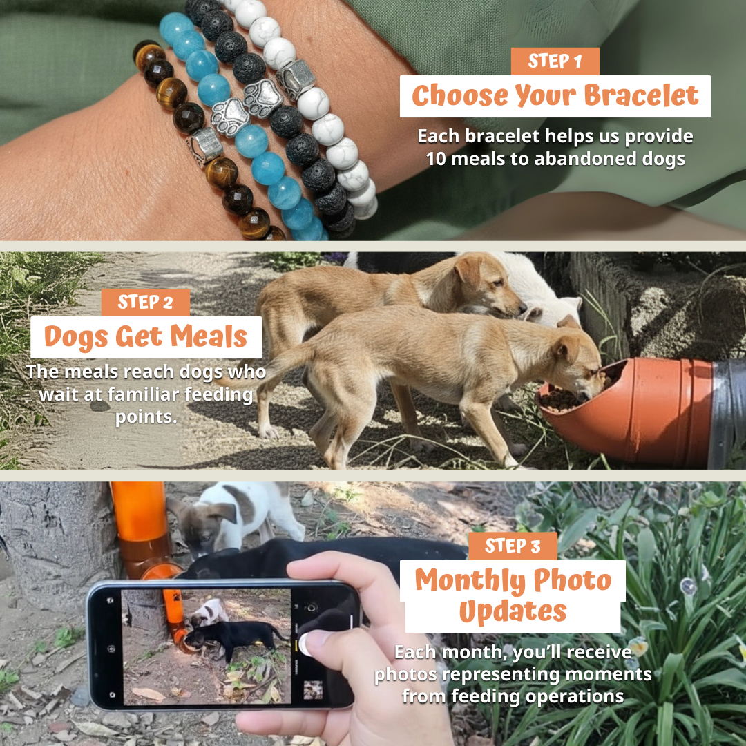 Prayer FM Emerald Adjustable Charity Bracelet for Dog Rescue